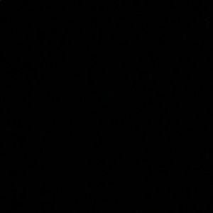 Meet your Posher, Bavneet